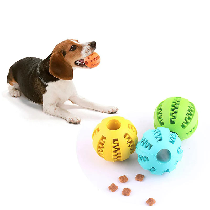 Bola De Brinquedo Para Cães Porta Petisco/Ração Limpeza Dental